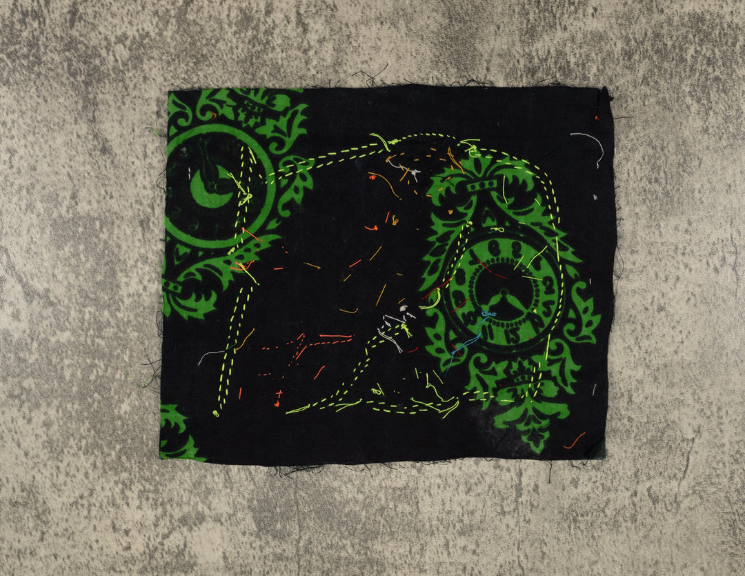 Multi-Color Parrot Bird Red And Blue Molita