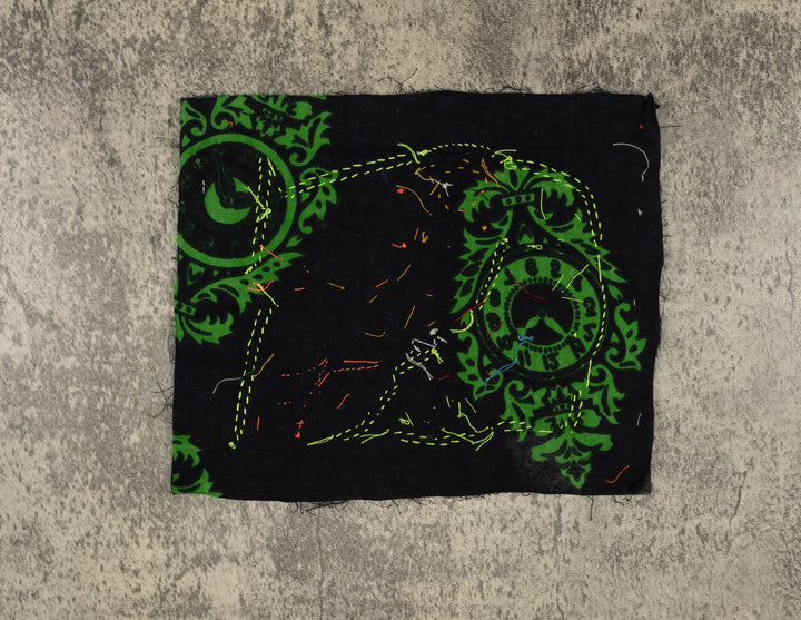 Multi-Color Parrot Bird Red And Blue Molita