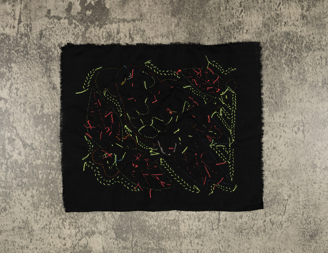 Multi-Color Parrot Bird Red And Blue Molita