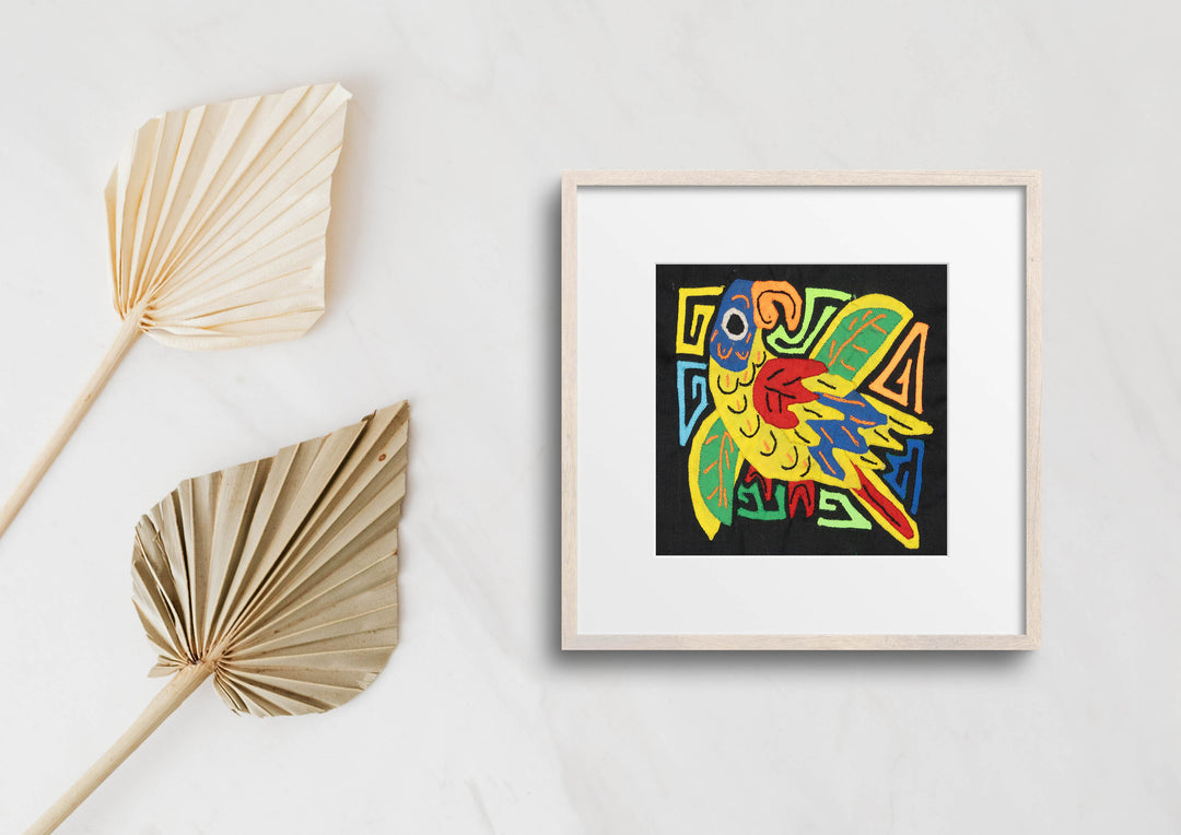 Multicolor Red yellow And Blue Molita
