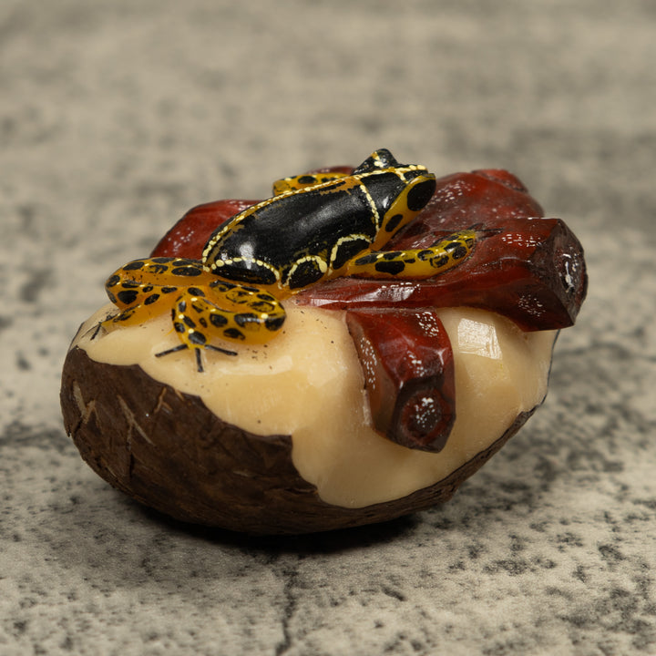 Gold Black And White Frog Tagua Carving