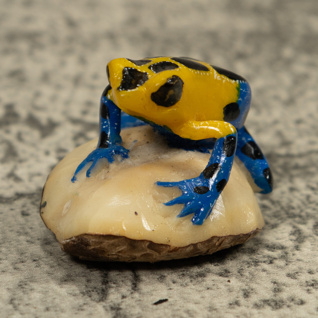 Yellow And Blue Poison Dart Frog Tagua Carving