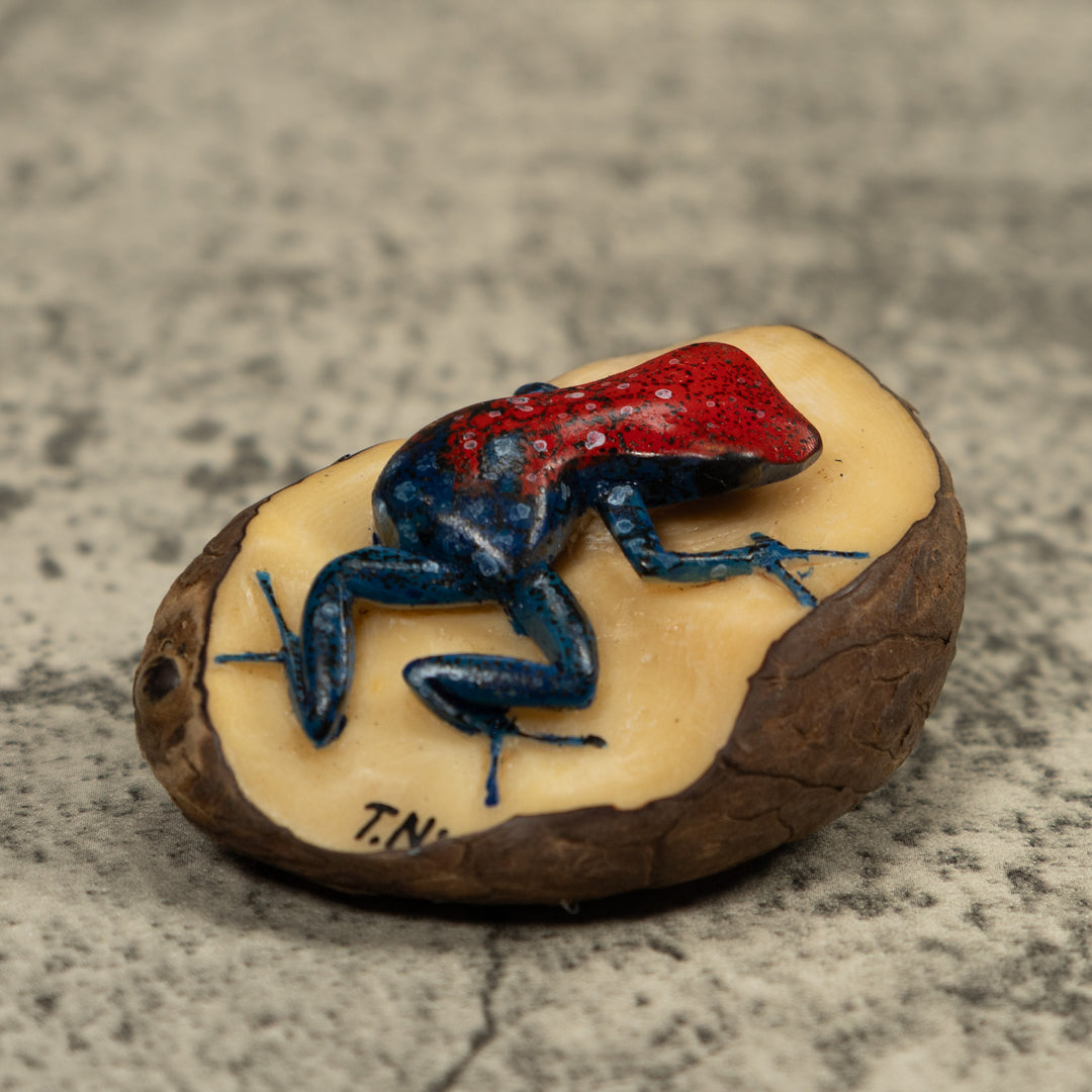 Red And Blue Frog Tagua Carving