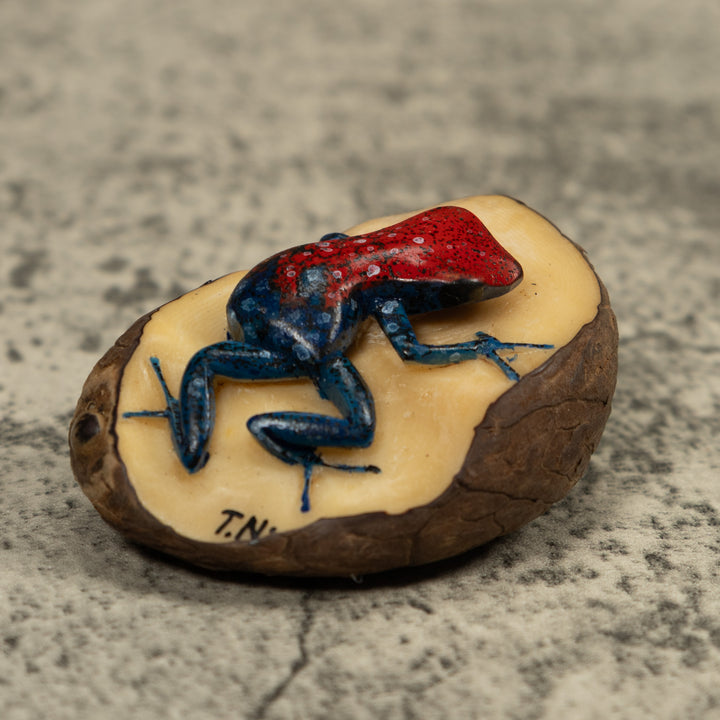 Red And Blue Frog Tagua Carving
