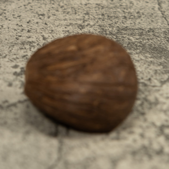 Red And Blue Frog Tagua Carving