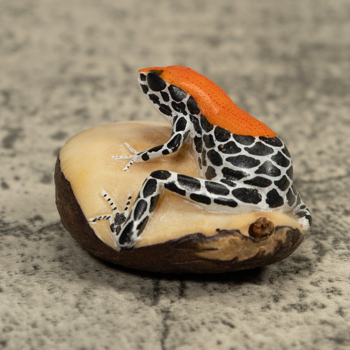 Red And Blue Frog Tagua Carving
