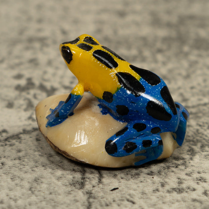 Yellow And Blue Poison Dart Frog Tagua Carving