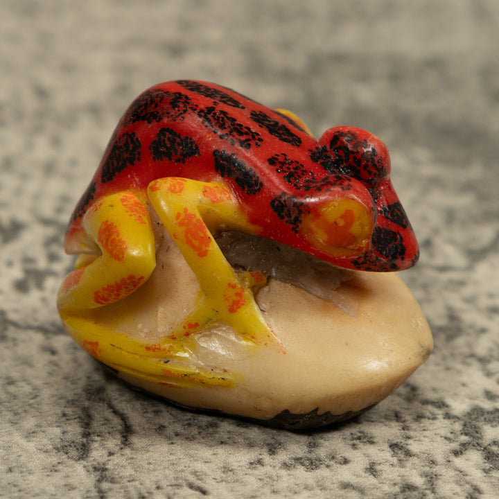 Vintage Red Black And Yellow Frog Tagua Carving