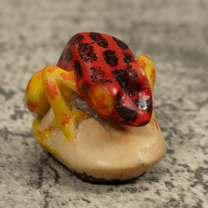 Vintage Red Black And Yellow Frog Tagua Carving