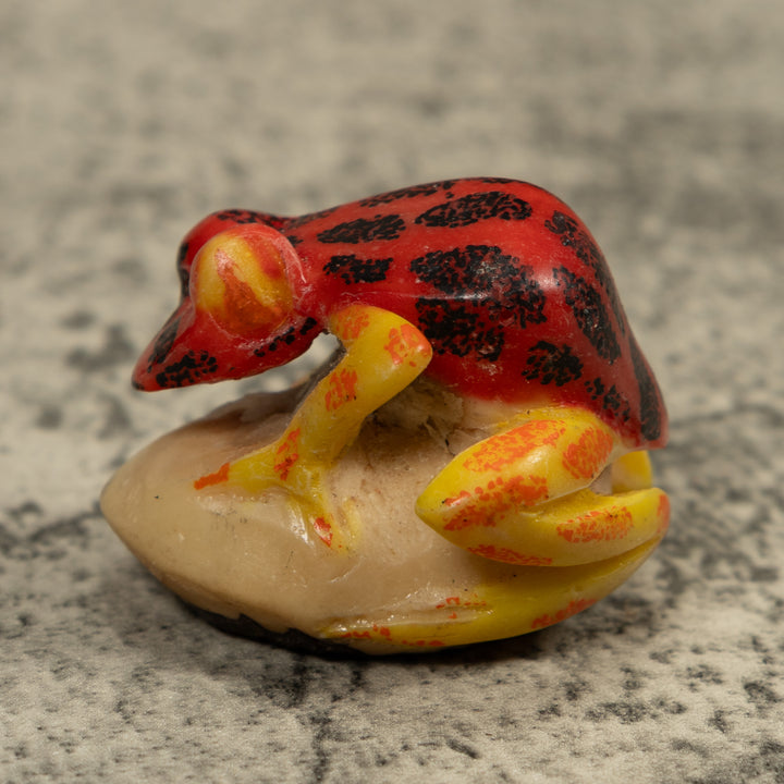 Vintage Red Black And Yellow Frog Tagua Carving