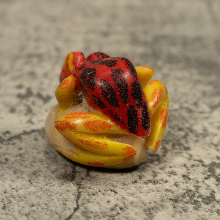 Vintage Red Black And Yellow Frog Tagua Carving