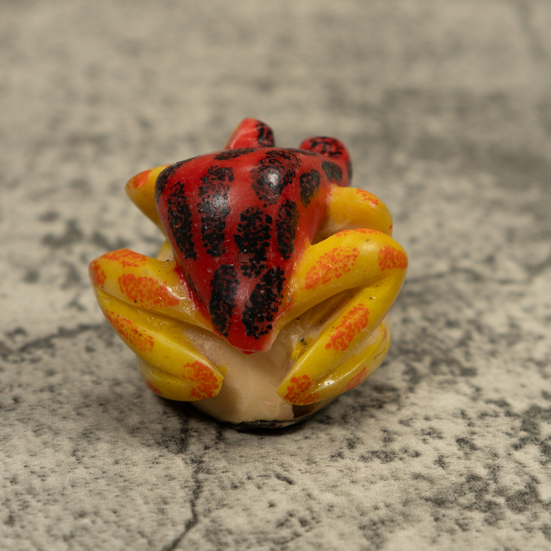 Vintage Red Black And Yellow Frog Tagua Carving