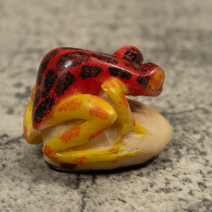 Vintage Red Black And Yellow Frog Tagua Carving