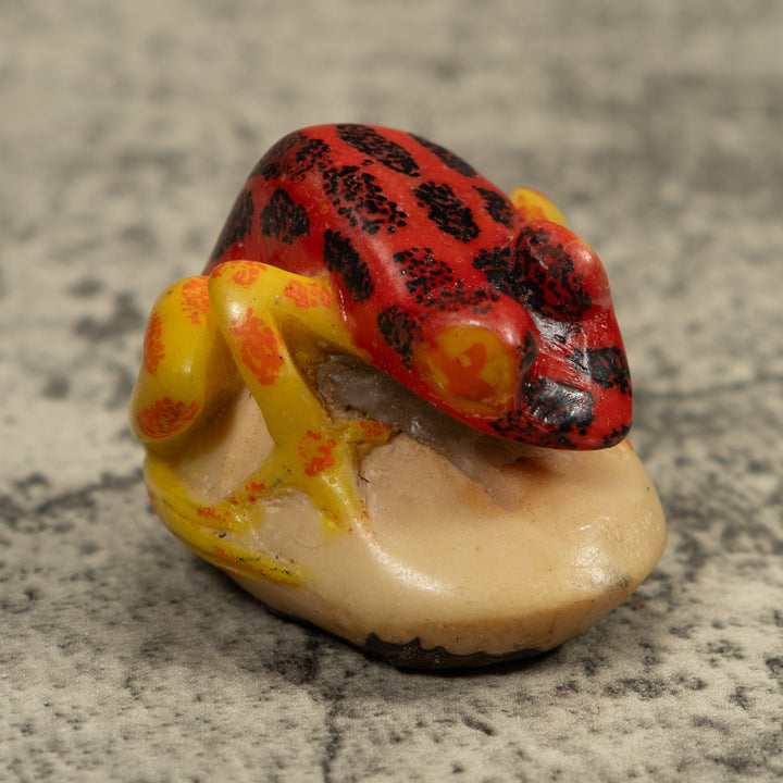 Vintage Red Black And Yellow Frog Tagua Carving