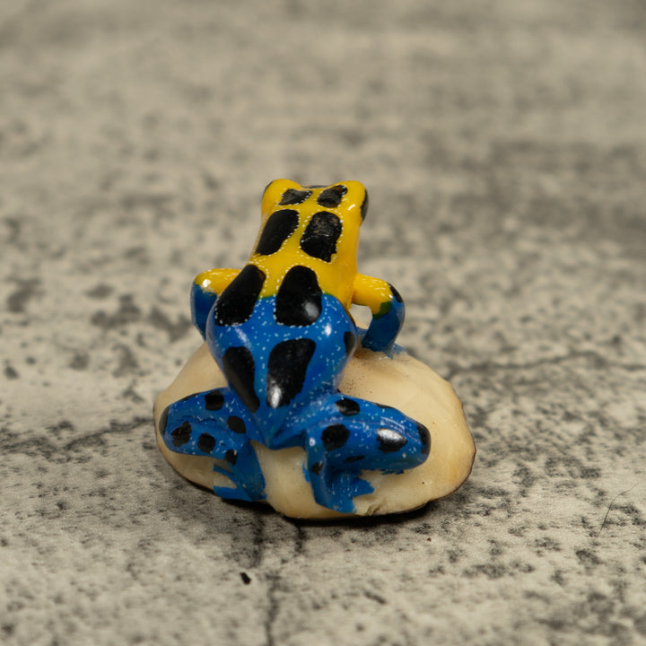 Yellow And Blue Poison Dart Frog Tagua Carving