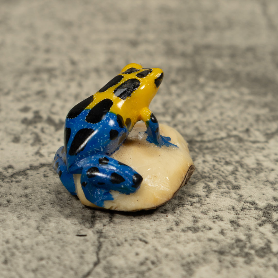 Yellow And Blue Poison Dart Frog Tagua Carving
