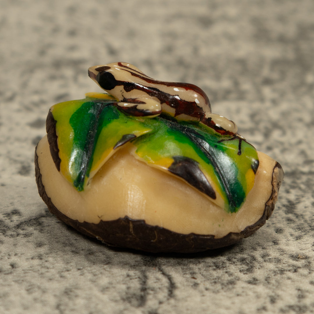 Brown And Cream Frog Tagua Carving