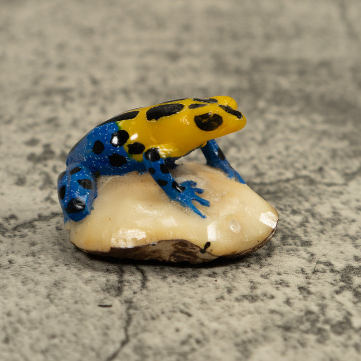 Yellow And Blue Poison Dart Frog Tagua Carving