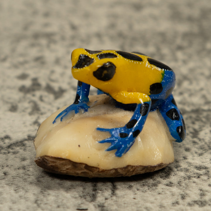 Yellow And Blue Poison Dart Frog Tagua Carving