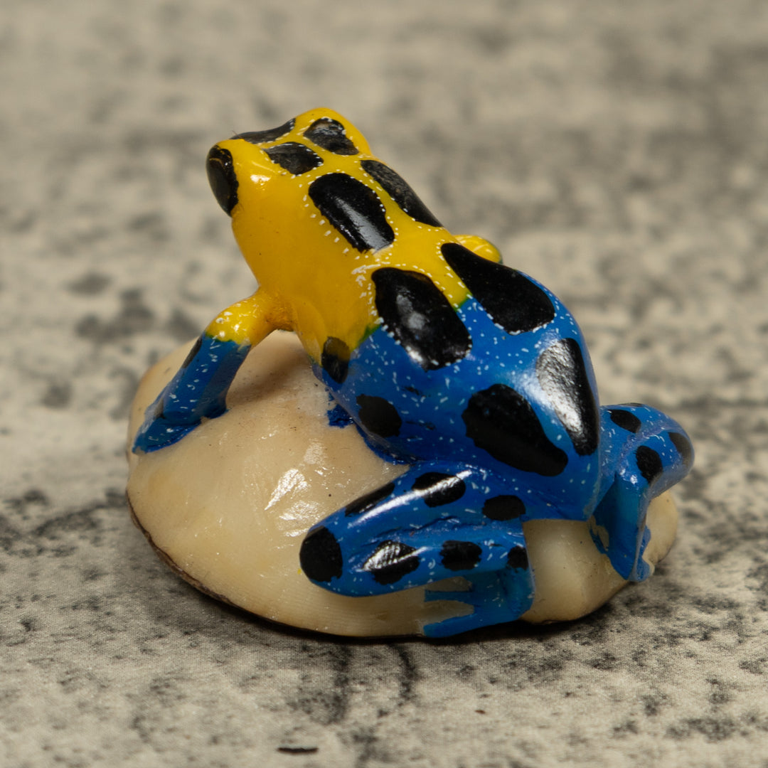 Yellow And Blue Poison Dart Frog Tagua Carving