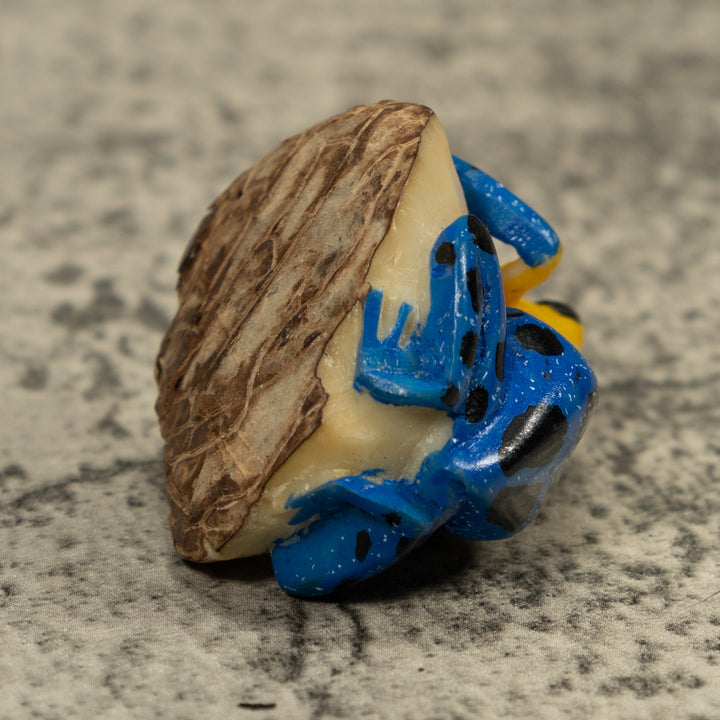Yellow And Blue Poison Dart Frog Tagua Carving