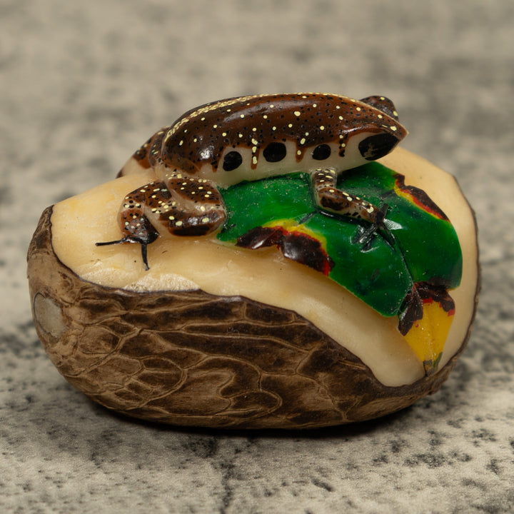 Brown And White Frog Tagua Carving