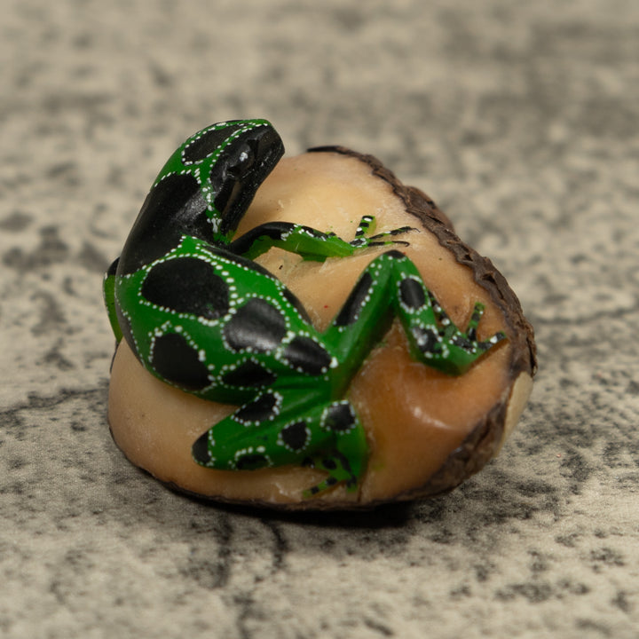 Black Green And White Frog Tagua Carving