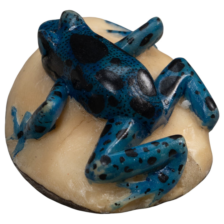 Vintage Blue And Black Poison Dart Frog Tagua Carving