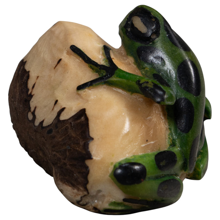 Black And Green Poison Dart Frog Tagua Carving