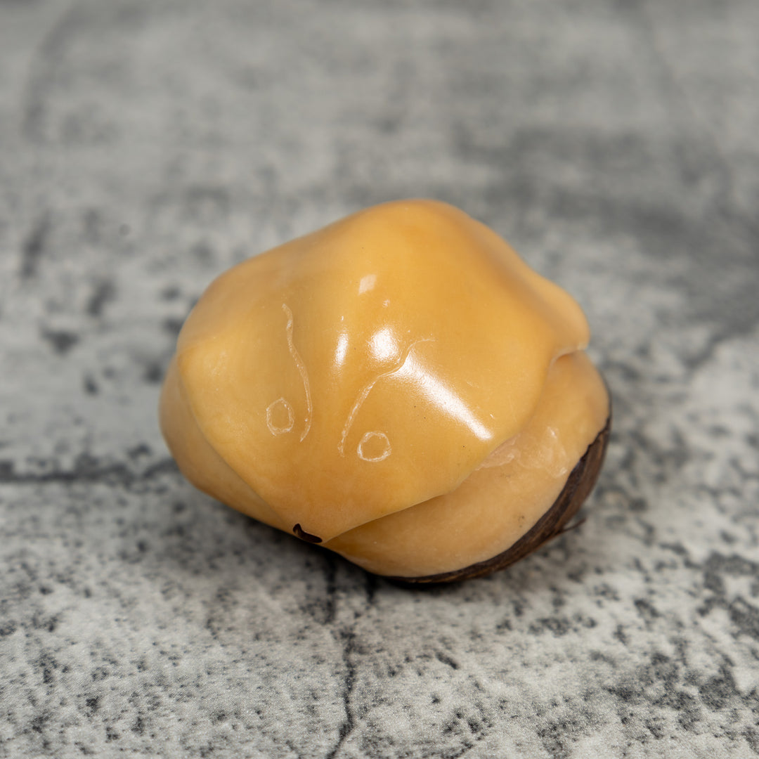 Natural White Sea Stingray Tagua Carving