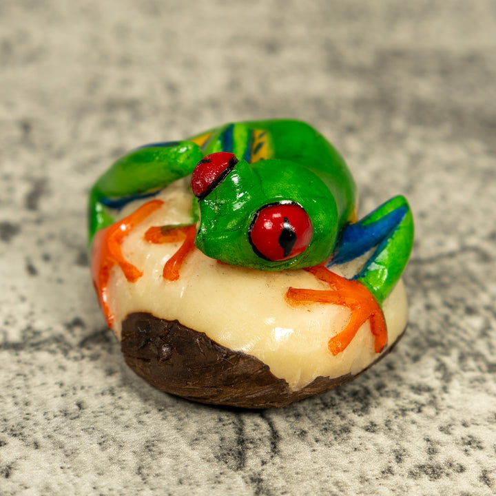 Red Eye Tree Frog Tagua Carving