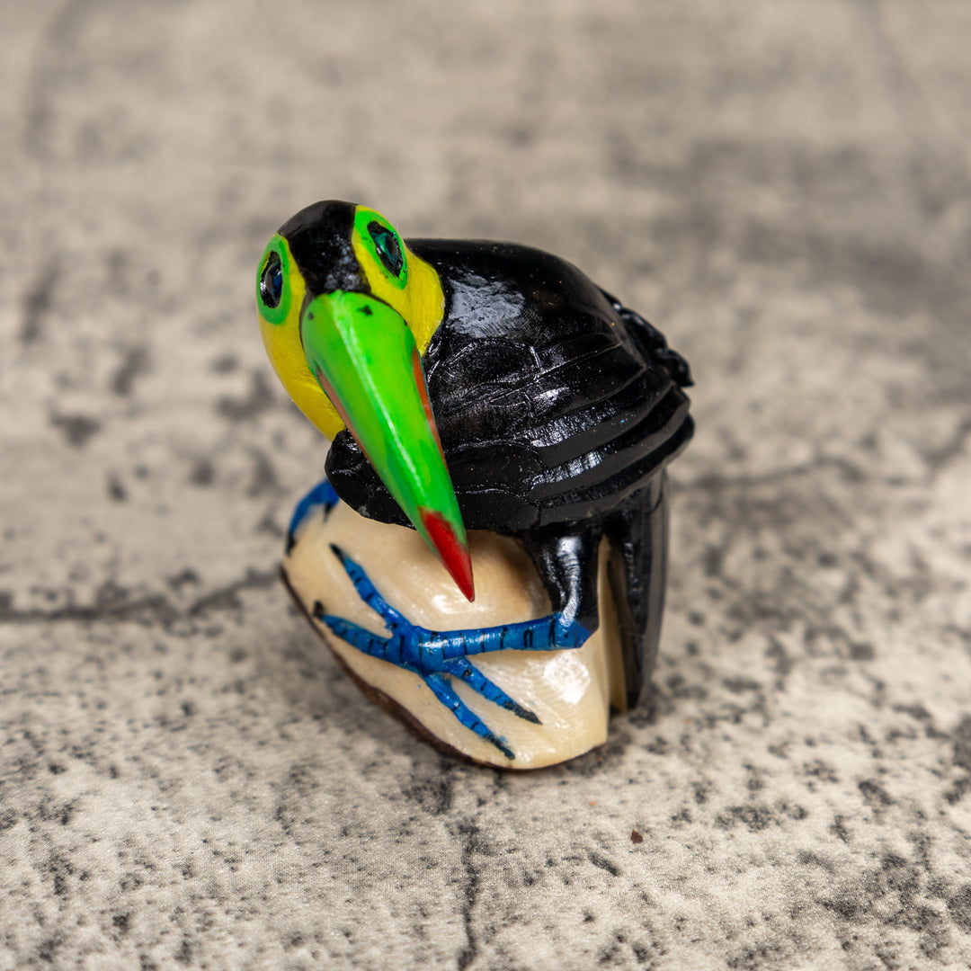 Toucan Parrot Bird Tagua Carving