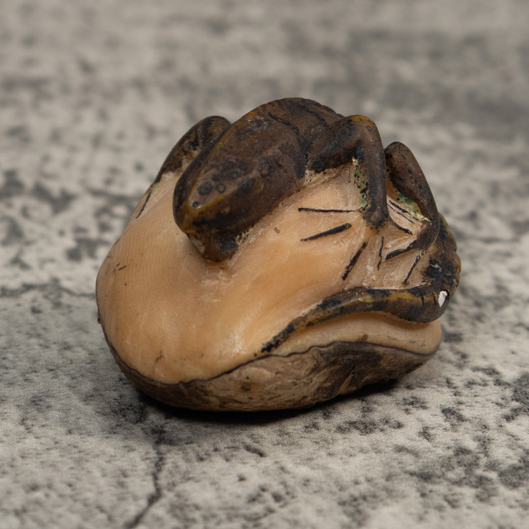 Vintage Green Iguana Lizard Tagua Carving