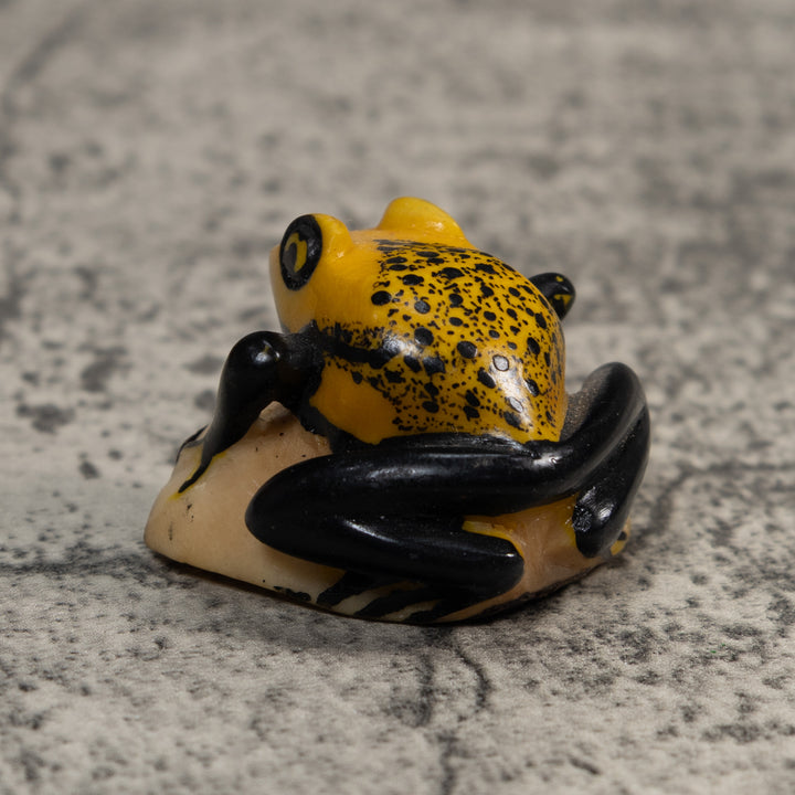 Vintage Black And Gold Poison Dart Frog Tagua Carving