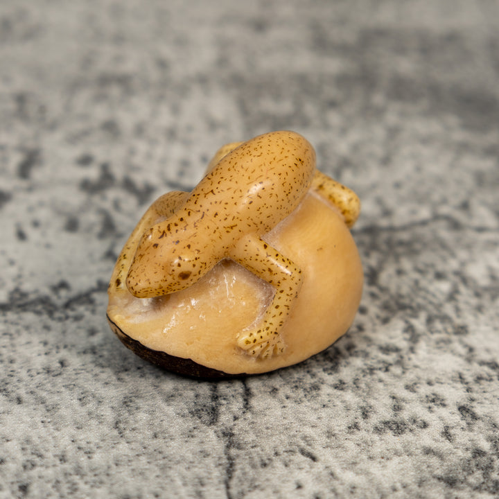 Vintage Dyed Gecko Lizard Tagua Carving