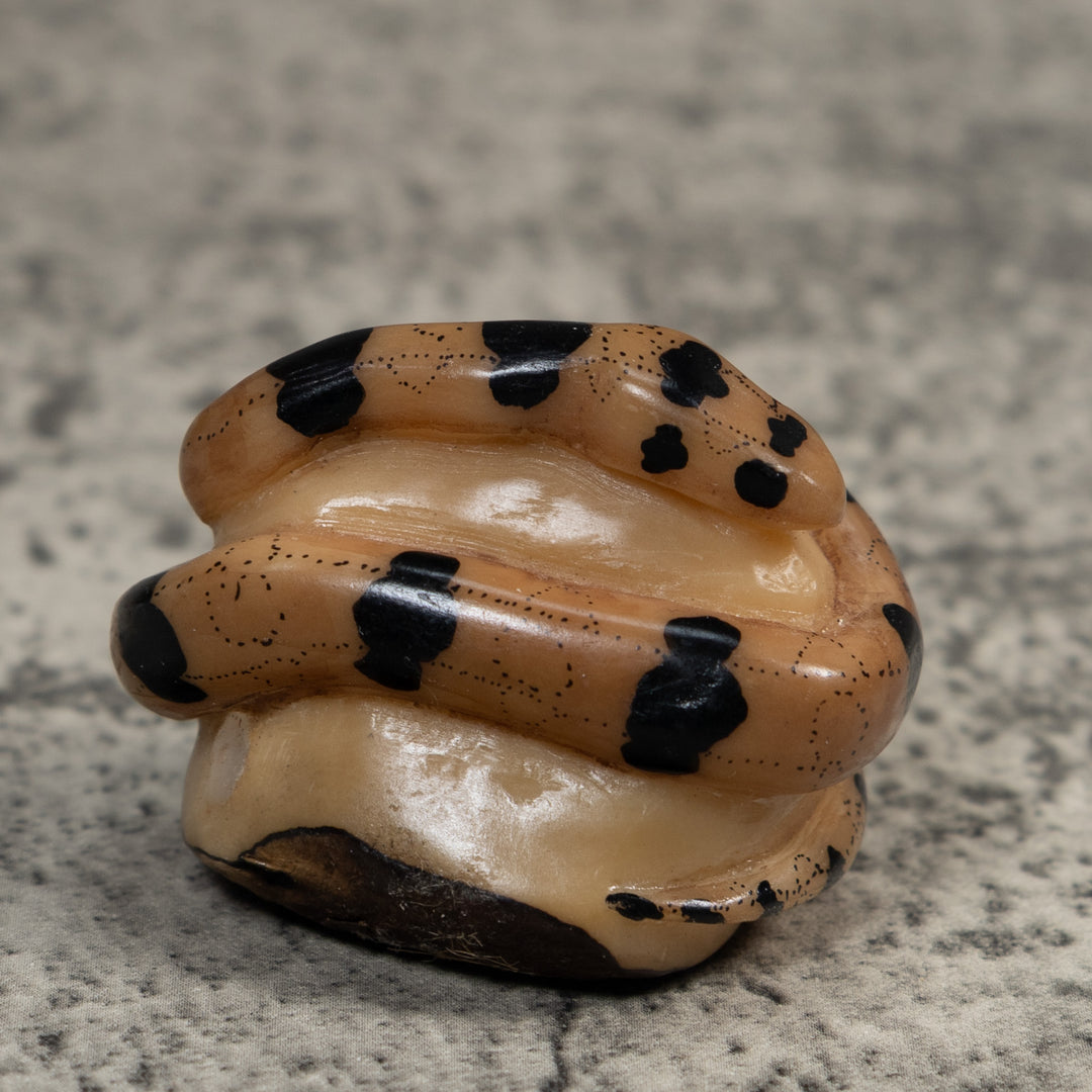 Vintage Black And Tan Snake Tagua Carving