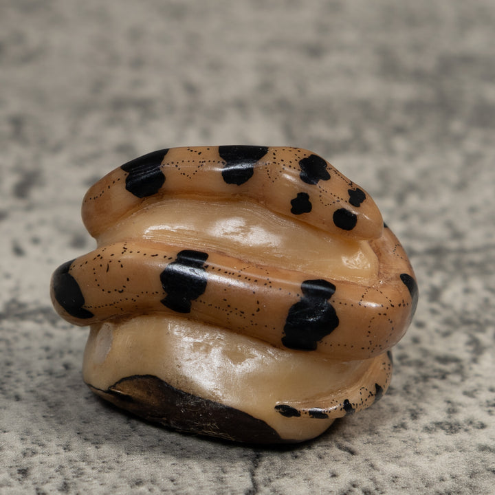 Vintage Black And Tan Snake Tagua Carving