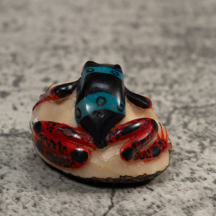 Vintage Black Blue And Red Rainforest Frog Tagua Carving