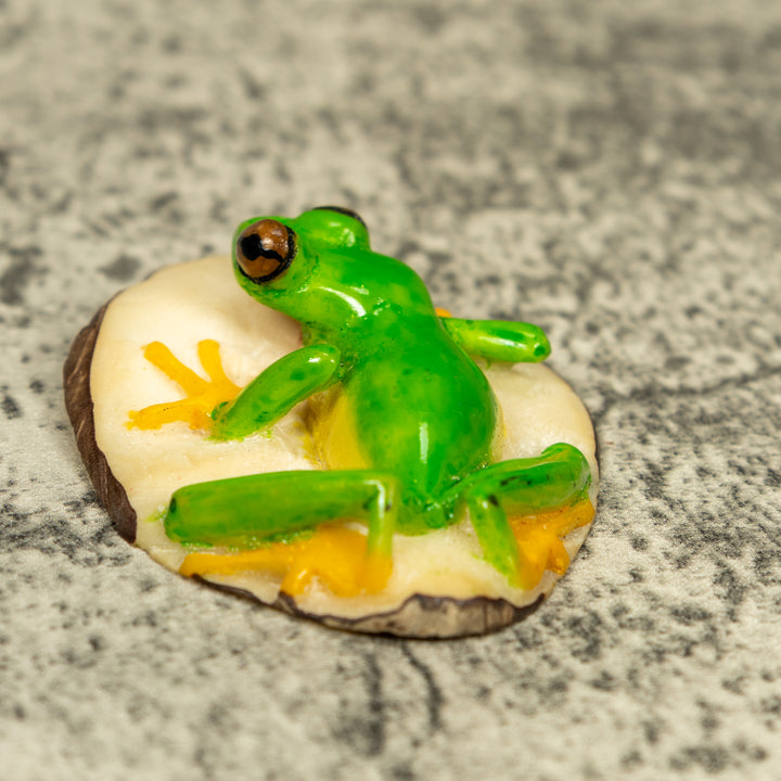 Red-Eye Tree Frog Tagua Carving