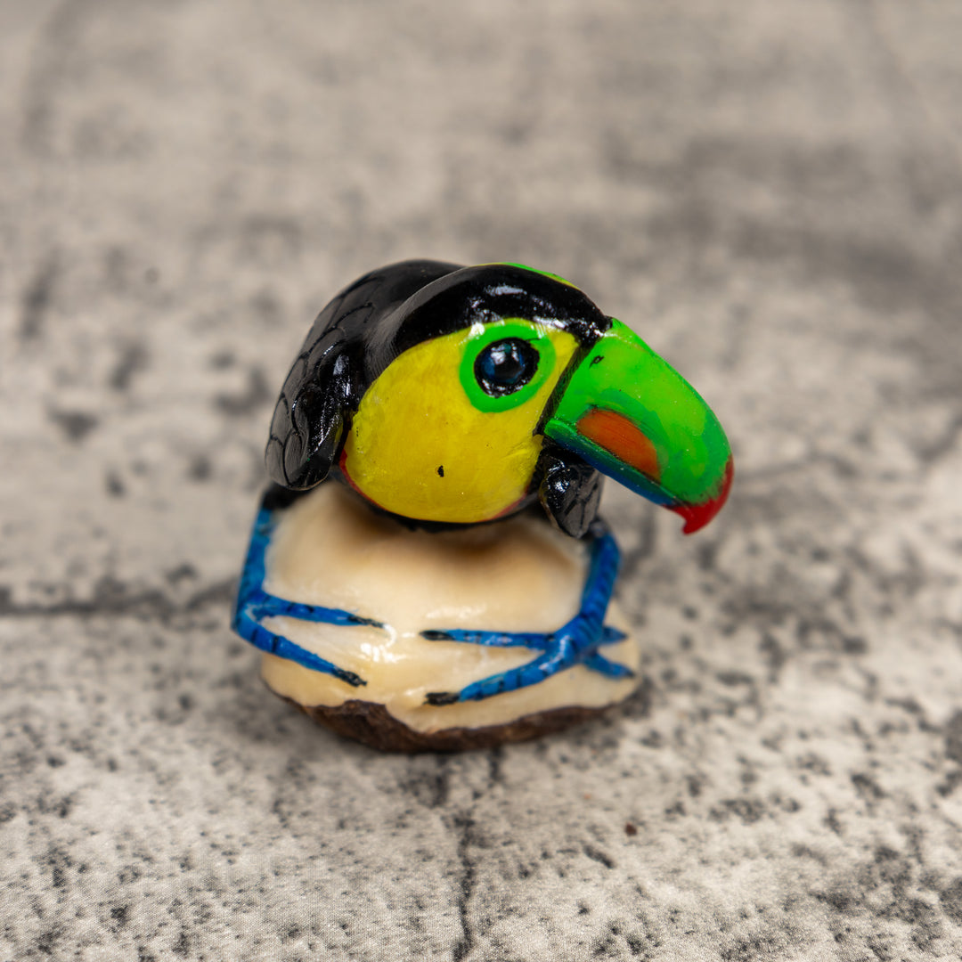 Toucan Parrot Bird Tagua Carving