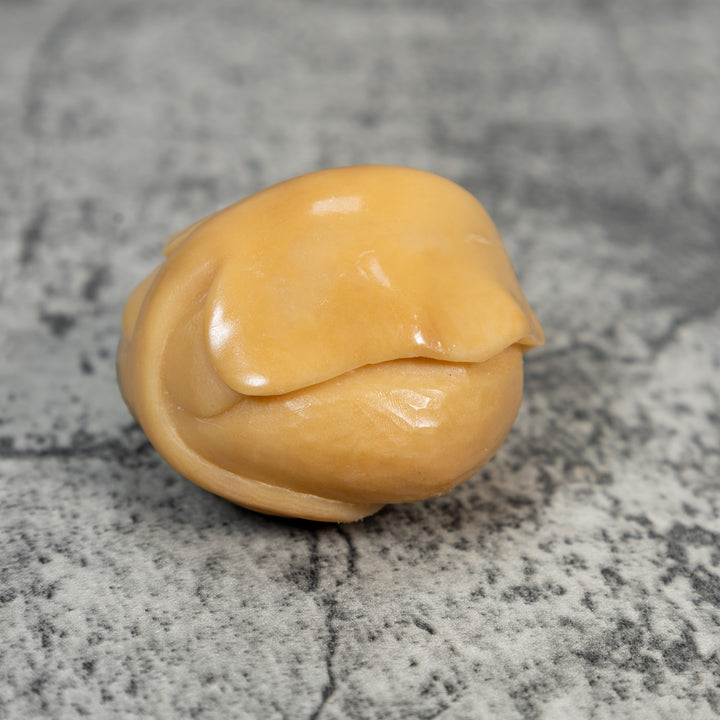 Natural White Sea Stingray Tagua Carving