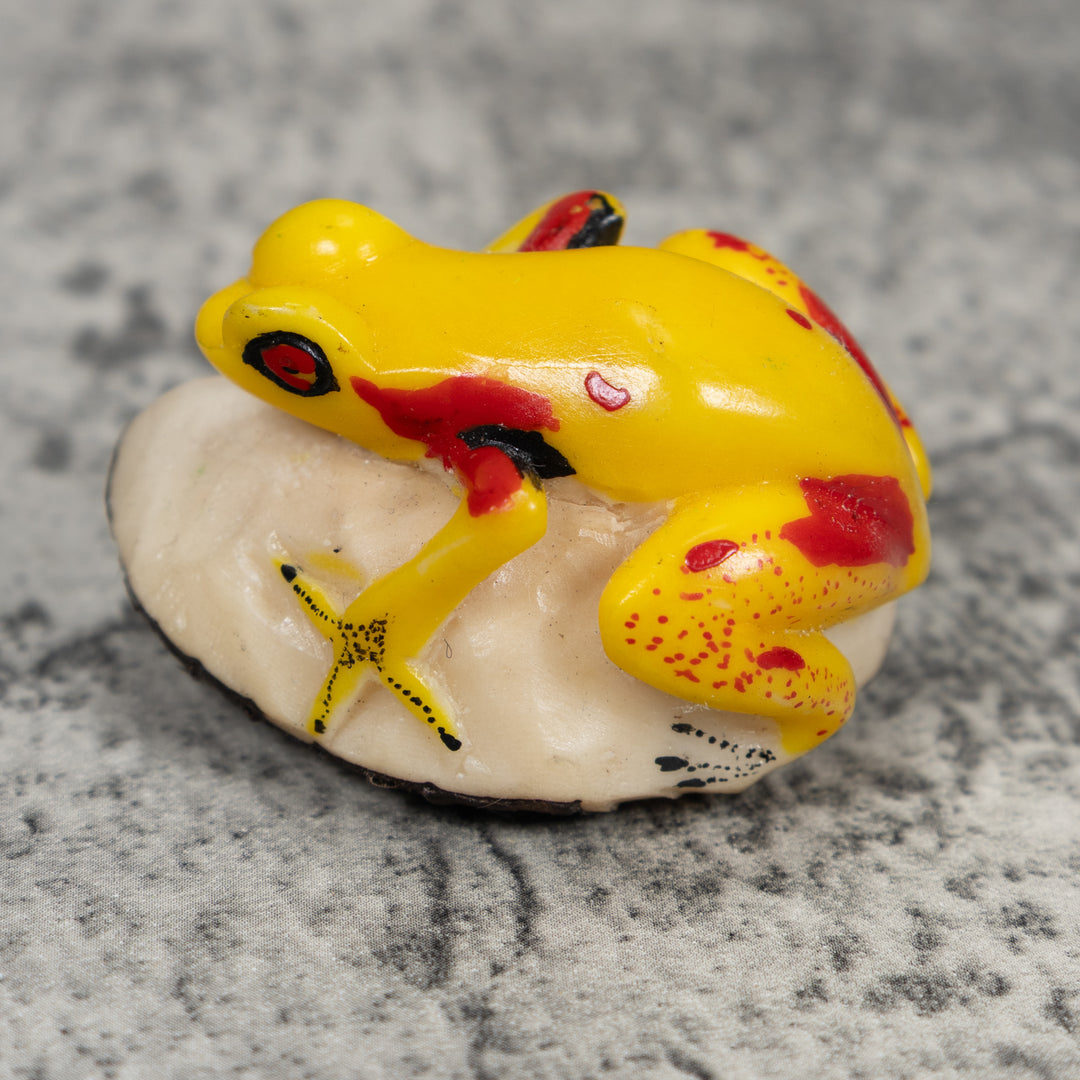 Yellow And Red Poison Dart Frog Tagua Carving