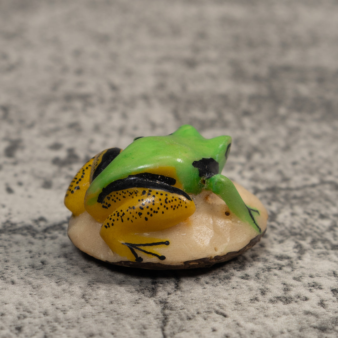 Green Gold And Black Poison Dart Frog Tagua Carving