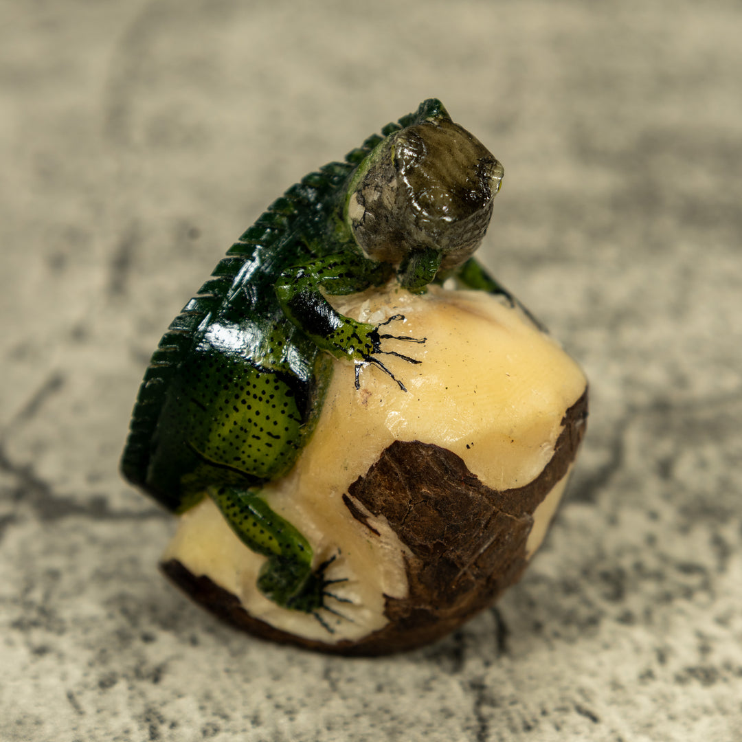 Green Iguana lizard On Pedestal Tagua Carving
