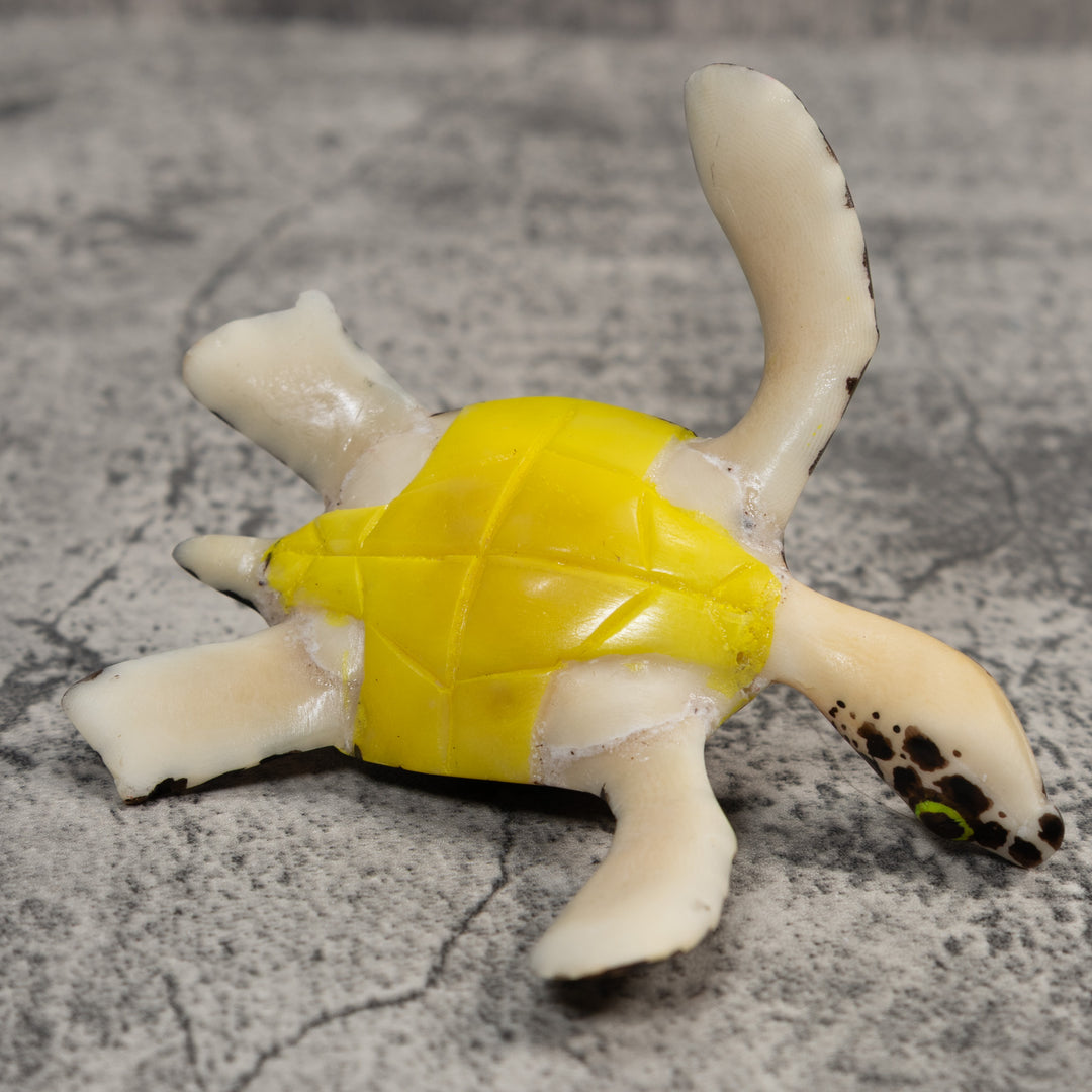 Large Sea Turtle Tagua Carving