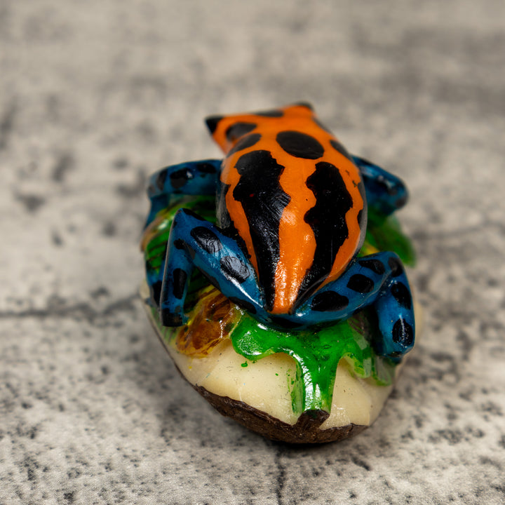 Orange Black And Blue Poison Dart Frog Tagua Carving