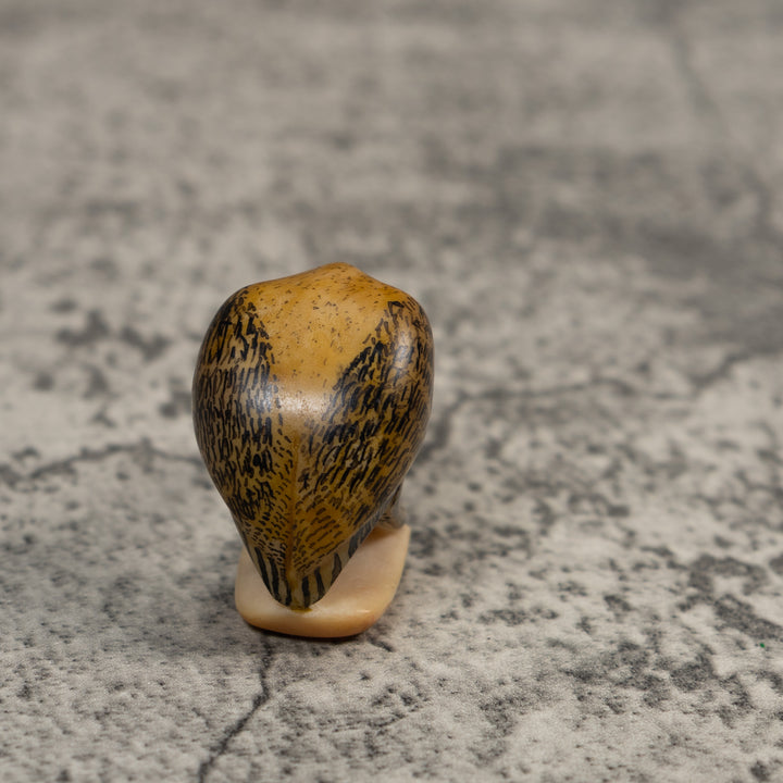 Vintage Waterbird Heron Tagua Carving