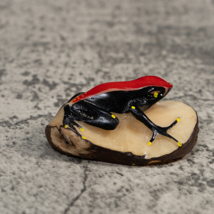 Red Yellow And Black  Poison Dart Frog Tagua Carving