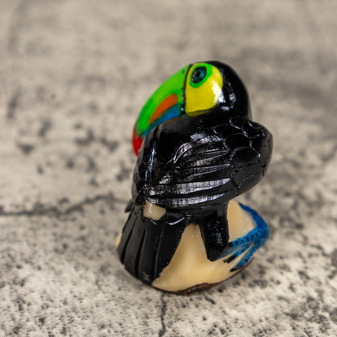 Toucan Parrot Bird Tagua Carving