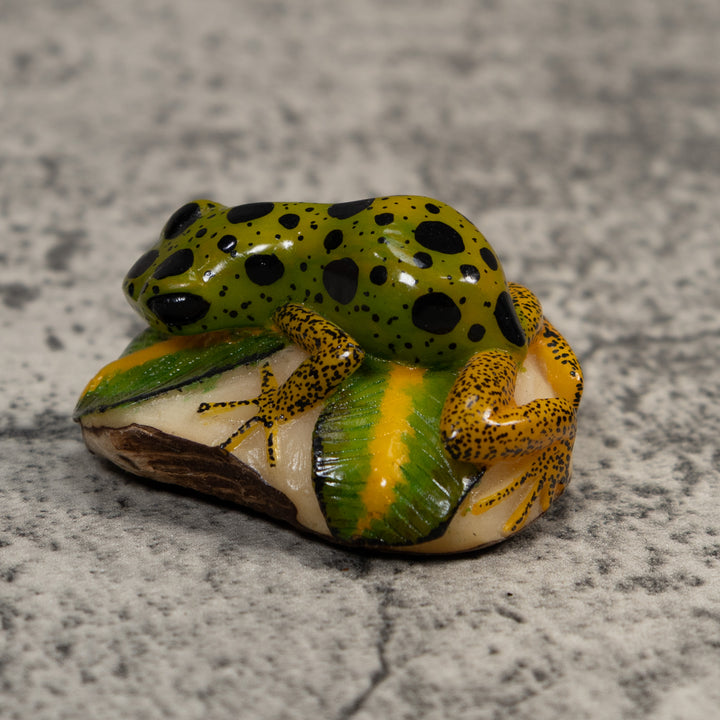 Green Gold And Black Poison Dart Frog Tagua Carving